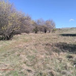 Парцел в с. Слаковци, Област Перник - 791 кв.м за 16 €/кв.м - Снимка #1