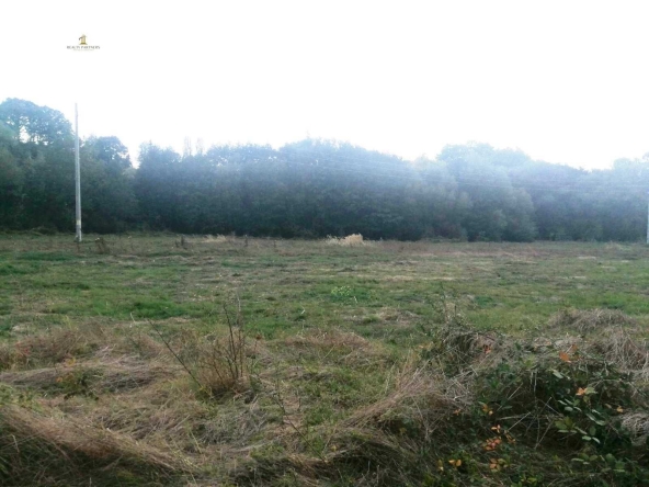 Парцел в с. Рударци, Област Перник - 1762 кв.м за 54 €/кв.м - Снимка #1
