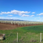 Земеделски имот в с. Завой, Област Ямбол -  кв.м за 1700 €/дка - Снимка #1