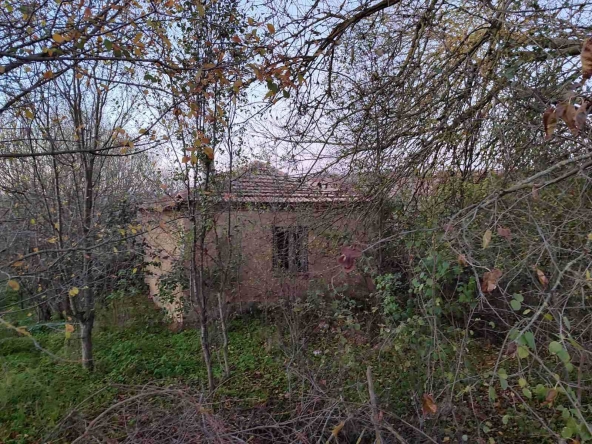 Къща в с. Долина, Област Добрич - 60 кв.м за 484 €/кв.м - Снимка #1