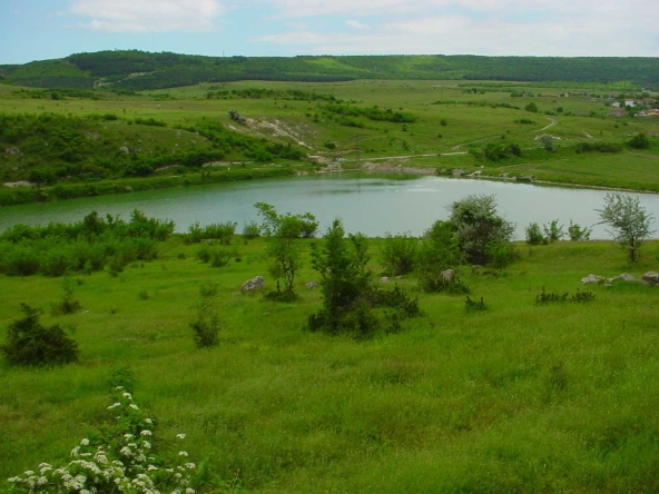 Парцел в с. Оброчище, Област Добрич - 9351 кв.м за 27 €/кв.м - Снимка #1