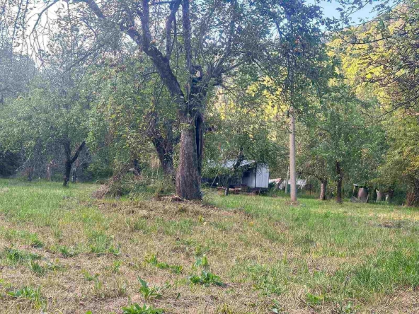 Парцел в с. Рибарица, Област Ловеч - 1765 кв.м за 26 €/кв.м - Снимка #1