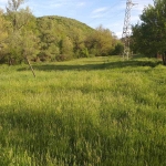 Парцел в Горна Оряховица - 1800 кв.м за 6 €/кв.м - Снимка #1