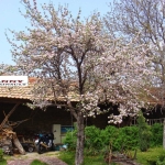 Къща в с. Велчево, Област Велико Търново - 80 кв.м за 1000 €/кв.м - Снимка #1