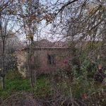 Къща в с. Долина, Област Добрич - 60 кв.м за 484 €/кв.м - Снимка #1