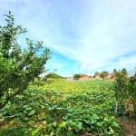 Парцел в с. Семерджиево, Област Русе - 1038 кв.м за 21 €/кв.м - Снимка #1