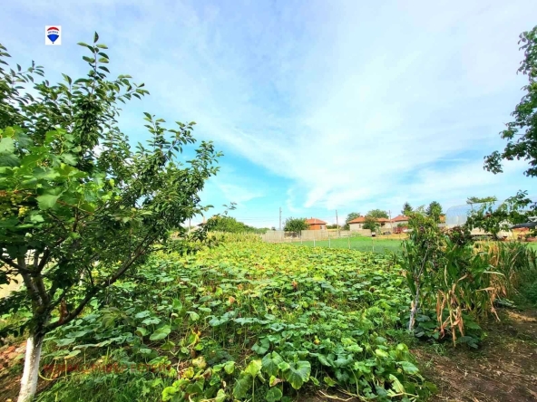 Парцел в с. Семерджиево, Област Русе - 1038 кв.м за 21 €/кв.м - Снимка #1