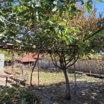 Къща в с. Дедово, Област Пловдив - 50 кв.м за 570 €/кв.м - Снимка #1