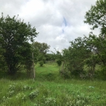 Парцел в с. Зорница, Област Варна - 550 кв.м за 46 €/кв.м - Снимка #1