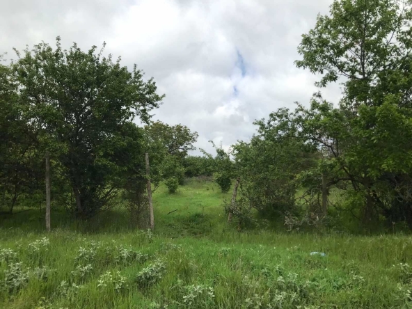 Парцел в с. Зорница, Област Варна - 550 кв.м за 46 €/кв.м - Снимка #1