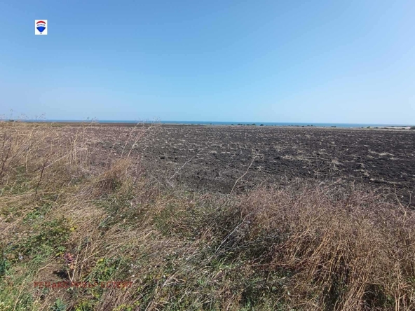 Парцел в с. Камен бряг, Област Добрич - 24002 кв.м за 22 €/кв.м - Снимка #1