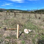 Парцел в Казанлък - 1600 кв.м за 10 €/кв.м - Снимка #1