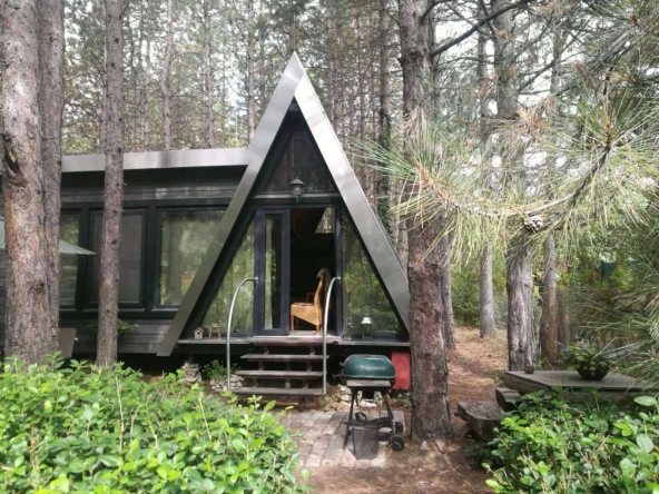 Парцел в с. Кошарево, Област Перник - 6600 кв.м за 11 €/кв.м - Снимка #1