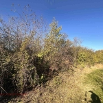 Парцел в с. Обретеник, Област Русе - 1000 кв.м за 3 €/кв.м - Снимка #1