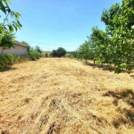 Парцел в с. Бъзън, Област Русе - 692 кв.м за 23 €/кв.м - Снимка #1