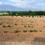 Земеделски имот в с. Войнягово, Област Пловдив -  кв.м за 1699 €/дка - Снимка #1