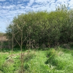 Парцел в Варна, Северна промишлена зона - 1870 кв.м за 16 €/кв.м - Снимка #1