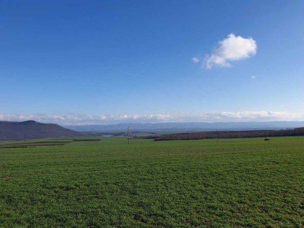 Земеделски имот в с. Тервел, Област Шумен -  кв.м за 509 €/дка - Снимка #1