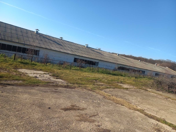 Склад в Добрич, Добротица - Албенска - 1100 кв.м за 56 €/кв.м - Снимка #1