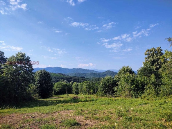 Парцел в Троян - 2200 кв.м за 17 €/кв.м - Снимка #1