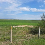 Парцел в с. Царацово, Област Пловдив - 6500 кв.м за 21 €/кв.м - Снимка #1