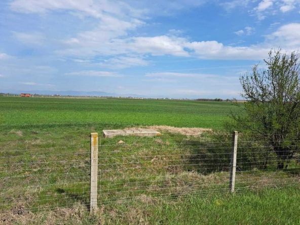 Парцел в с. Царацово, Област Пловдив - 6500 кв.м за 21 €/кв.м - Снимка #1