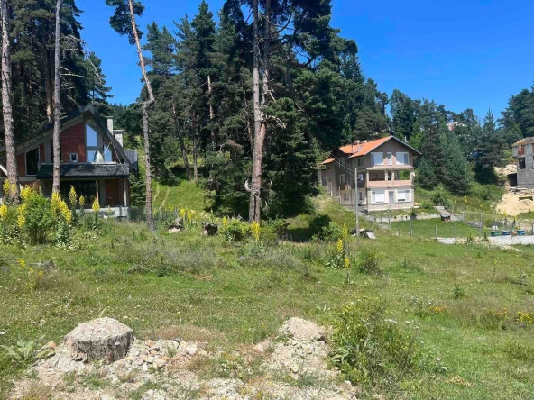 Парцел в с. Юндола, Област Пазарджик - 400 кв.м за 63 €/кв.м - Снимка #1