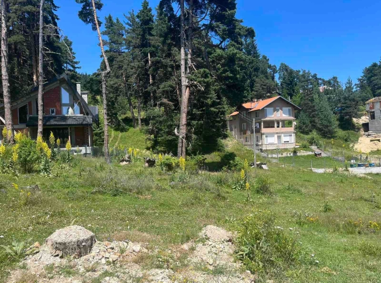 Парцел в с. Юндола, Област Пазарджик - 400 кв.м за 63 €/кв.м - Снимка #1
