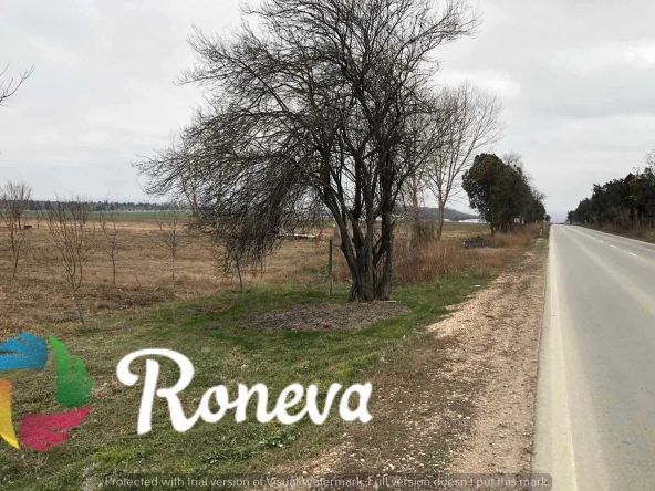 Парцел в с. Тополи, Област Варна - 2850 кв.м за 41 €/кв.м - Снимка #1