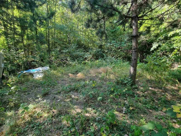 Парцел в с. Бачково, Област Пловдив - 529 кв.м за 18 €/кв.м - Снимка #1