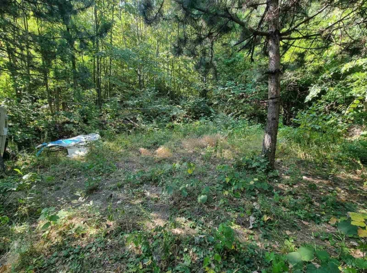 Парцел в с. Бачково, Област Пловдив - 529 кв.м за 18 €/кв.м - Снимка #1