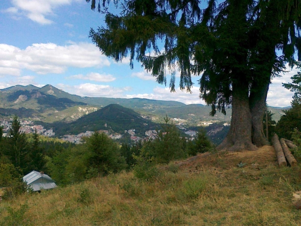 Земеделски имот в с. Петково, Област Смолян -  кв.м за 10 €/дка - Снимка #1