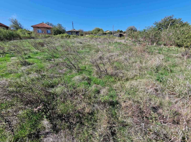 Парцел в с. Златна нива, Област Шумен - 1160 кв.м за 7 €/кв.м - Снимка #1