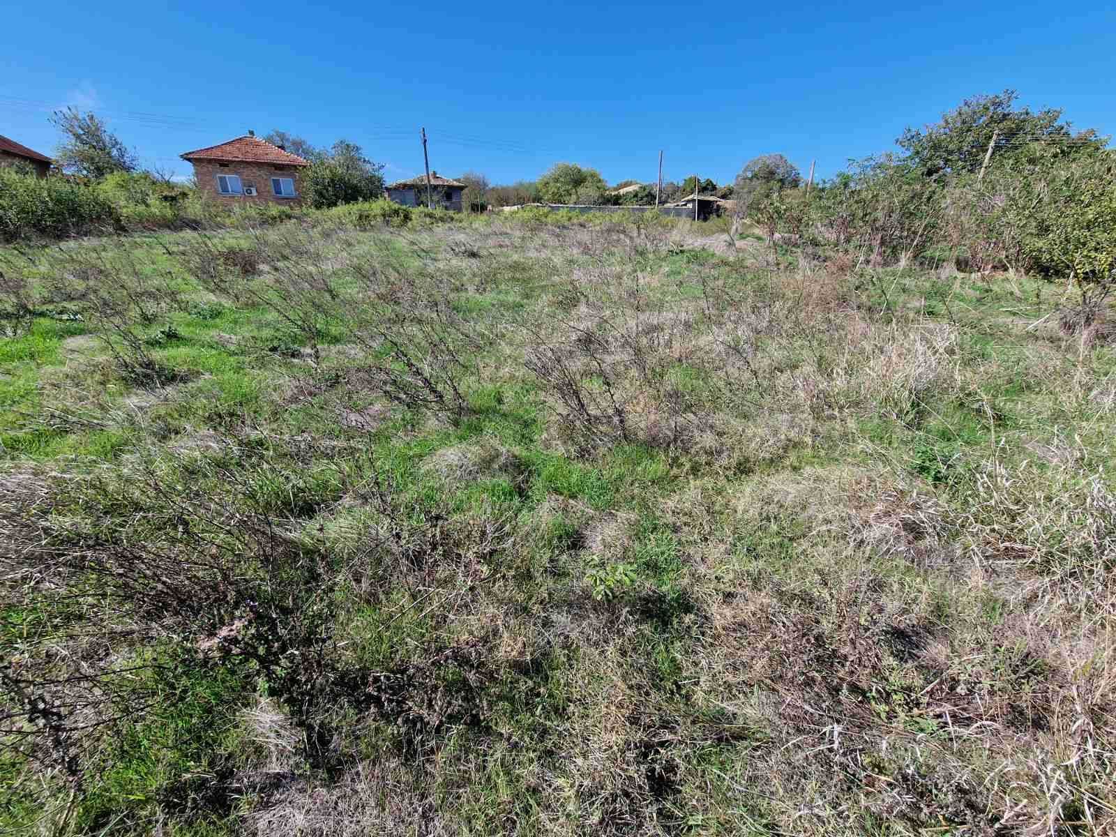 Парцел в с. Златна нива, Област Шумен - 1160 кв.м за 7 €/кв.м - Снимка #1