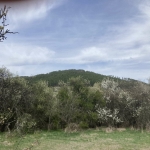 Парцел в с. Бабица, Област Перник - 1260 кв.м за 12 €/кв.м - Снимка #1