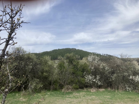 Парцел в с. Бабица, Област Перник - 1260 кв.м за 12 €/кв.м - Снимка #1