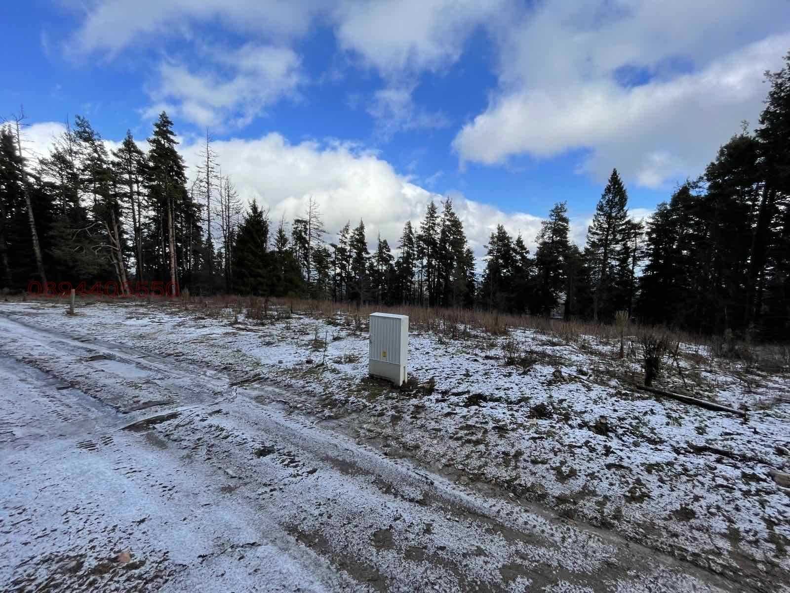 Парцел в с. Здравец, Област Пловдив - 2878 кв.м за 90 €/кв.м - Снимка #1