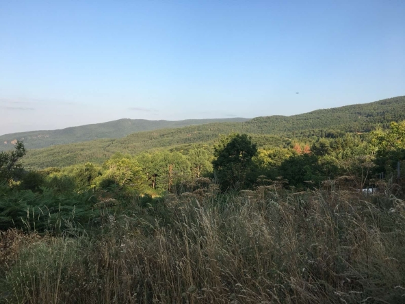 Парцел в Перник, Църква - 1980 кв.м за 50 €/кв.м - Снимка #1