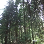 Земеделски имот в София, Люлин 10 -  кв.м за 378 €/дка - Снимка #1