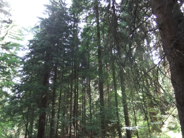 Земеделски имот в София, Люлин 10 -  кв.м за 378 €/дка - Снимка #1