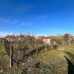 Къща в Тутракан - 180 кв.м за 284 €/кв.м - Снимка #1