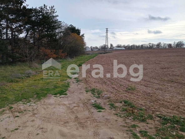 Парцел в с. Приселци, Област Варна - 5130 кв.м за 30 €/кв.м - Снимка #1