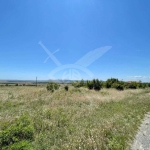 Парцел в с. Кошарица, Област Бургас - 3926 кв.м за 14 €/кв.м - Снимка #1