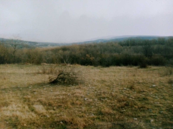 Земеделски имот в с. Кичево, Област Варна -  кв.м за 5000 €/дка - Снимка #1