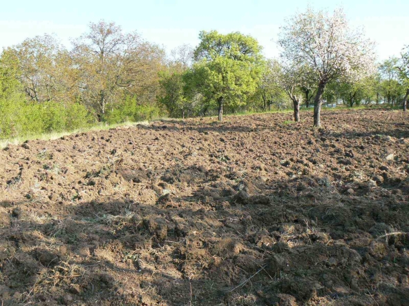 Парцел в с. Овчага, Област Варна - 2600 кв.м за 6 €/кв.м - Снимка #1