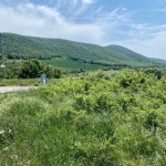 Парцел в с. Сулица, Област Стара Загора - 500 кв.м за 32 €/кв.м - Снимка #1