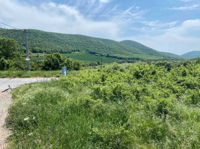 Парцел в с. Сулица, Област Стара Загора - 500 кв.м за 32 €/кв.м - Снимка #1
