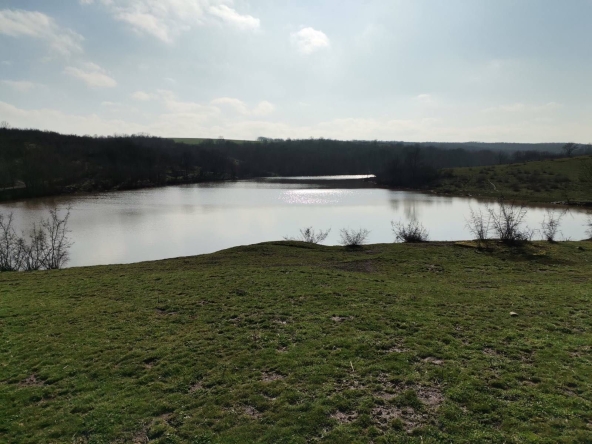 Парцел в Бургас, Сарафово - 40000 кв.м за 2 €/кв.м - Снимка #1