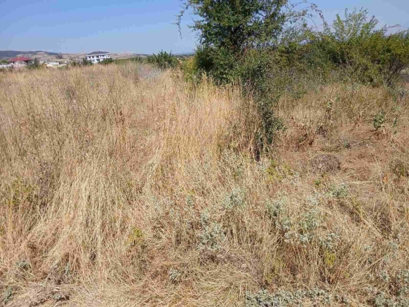 Парцел в Пловдив, Тракия - 800 кв.м за 50 €/кв.м - Снимка #1