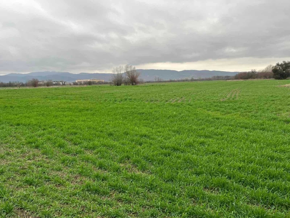 Парцел в Баня - 1318 кв.м за 12 €/кв.м - Снимка #1